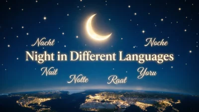 Night in Different Languages